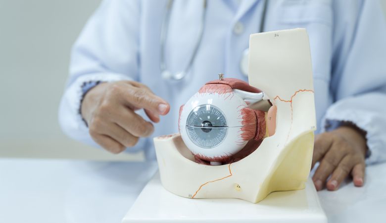Curso de curta e média duração em Retina e Vítreo - Oftalmologia: Inscrições Abertas