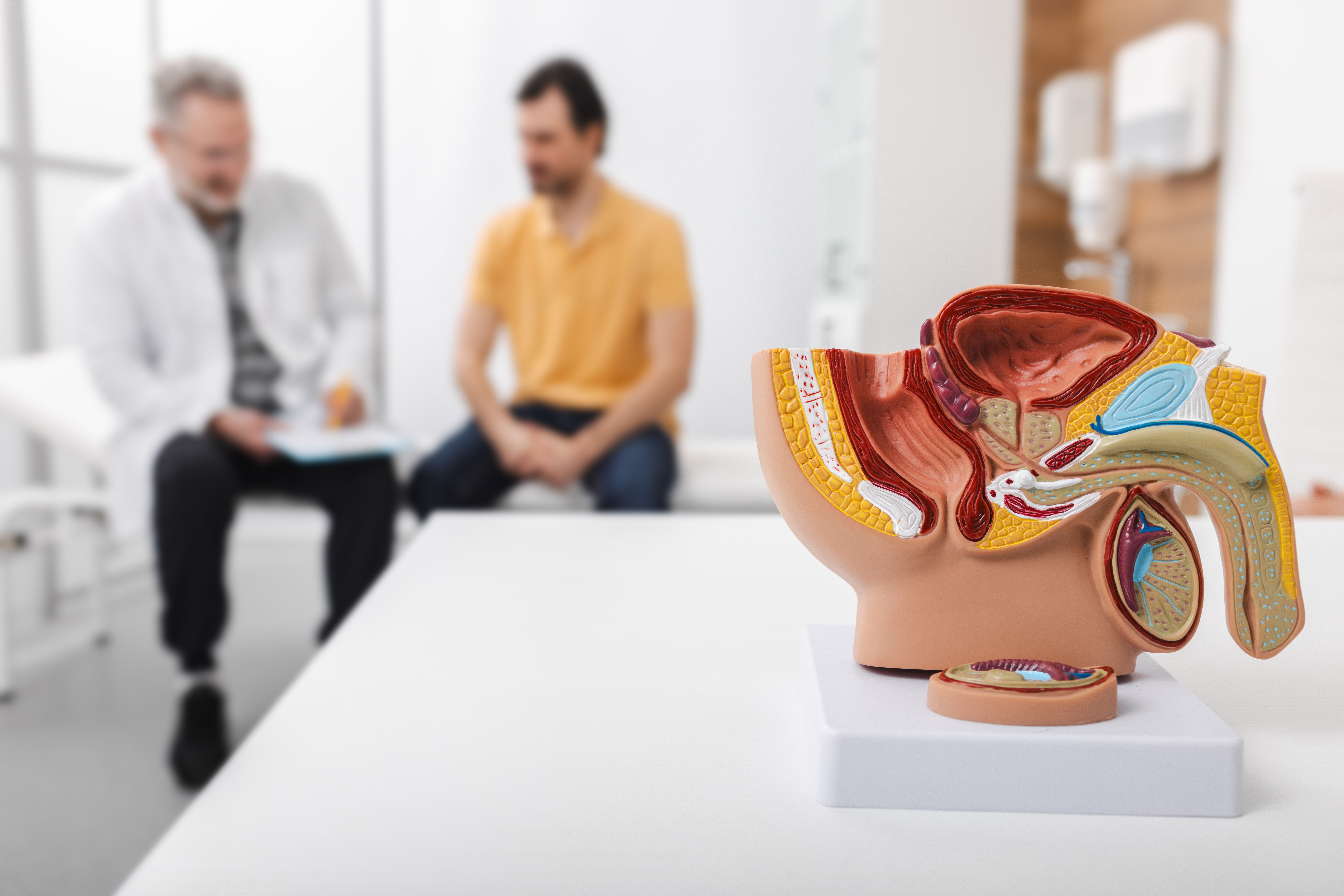 Câncer de próstata: epidemiologia, diagnóstico e possibilidades de tratamento