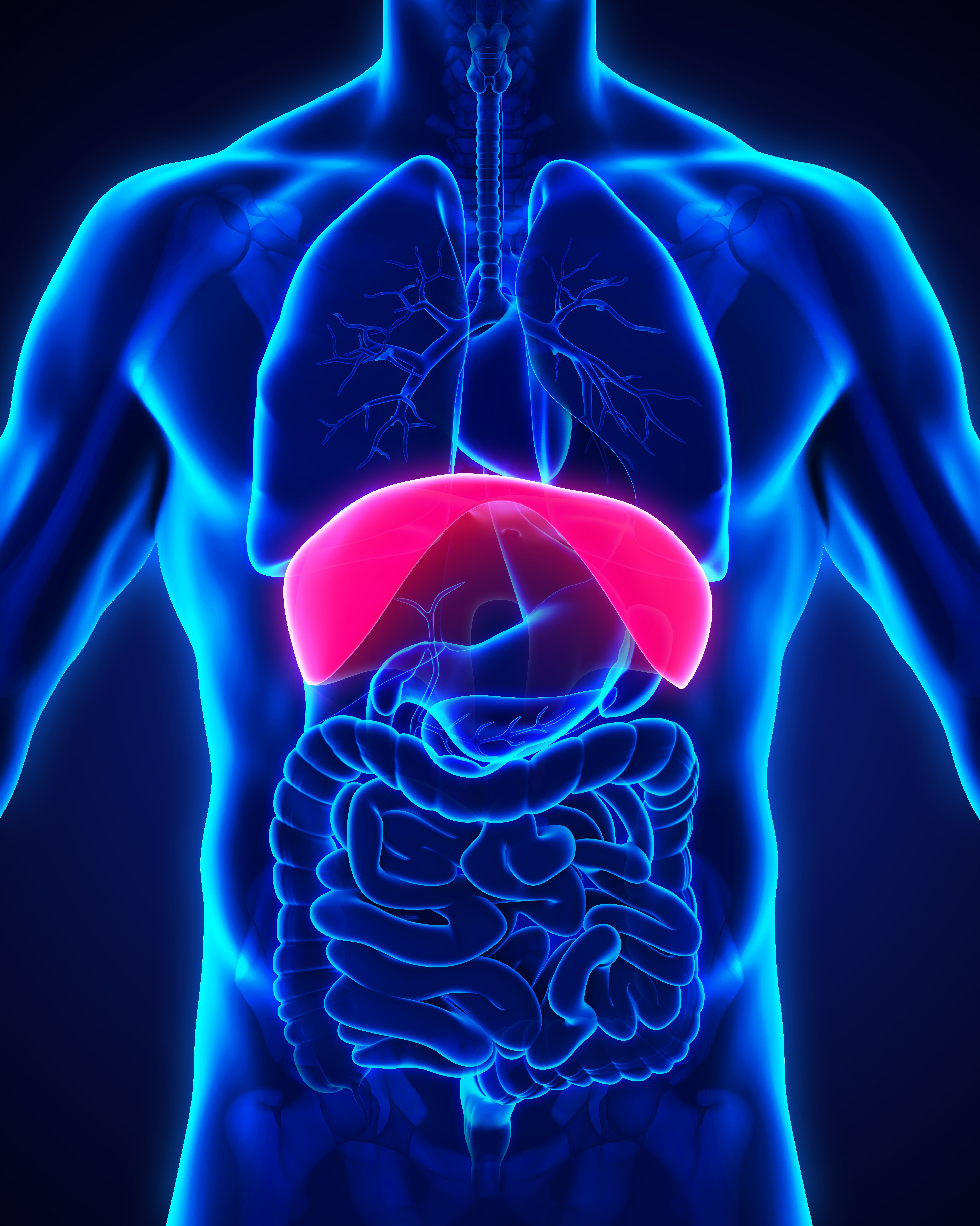 Ferimento na transição toracoabdominal e lesão de diafragma