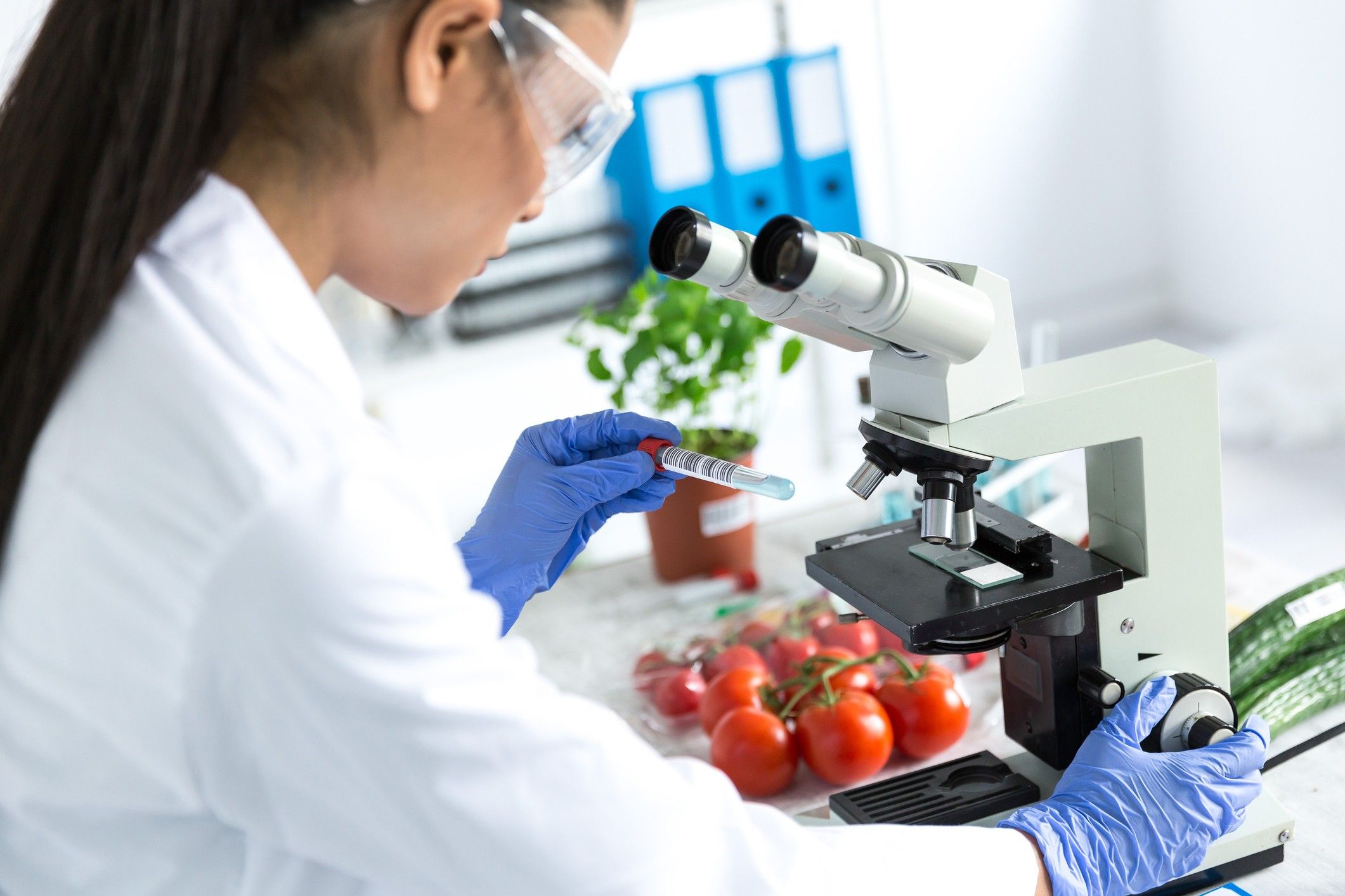 Ciências Biológicas na Estácio: saiba tudo sobre o curso