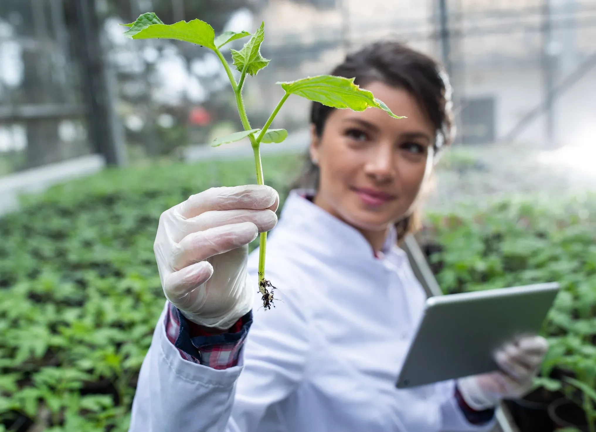 Quer mudar o meio ambiente? Conheça o curso de Ciências da Natureza!