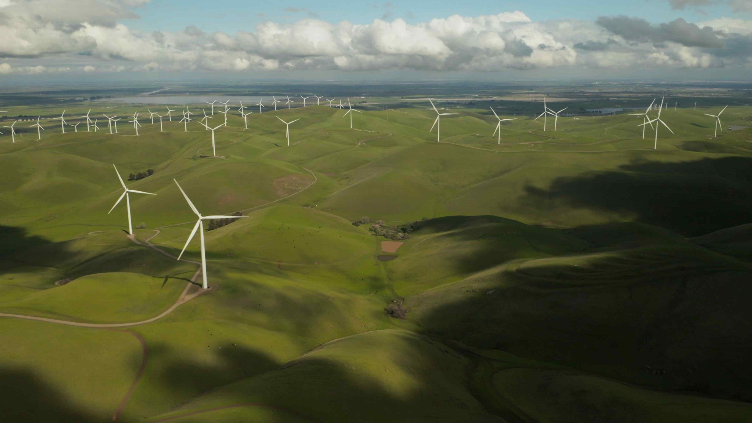 Sustentabilidade empresarial baseada nas novas orientações ESG
