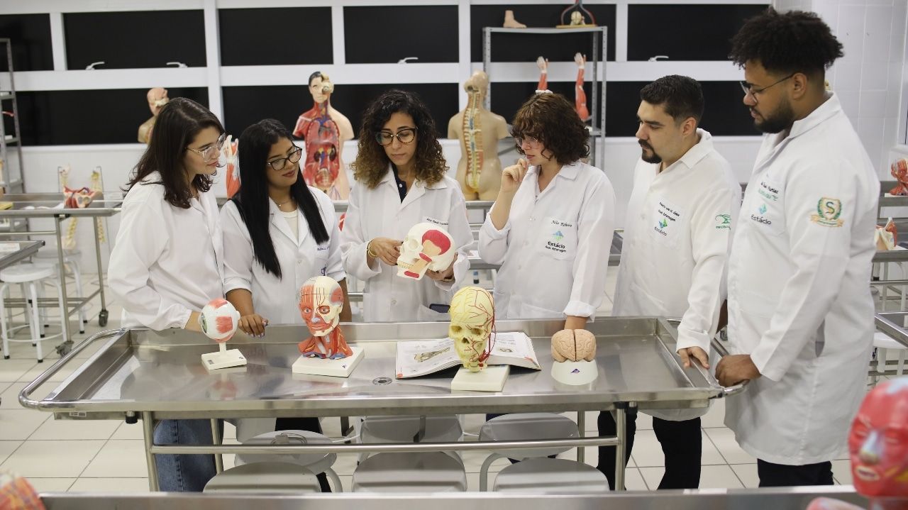 Guia sobre os principais cursos em alta no mercado de trabalho