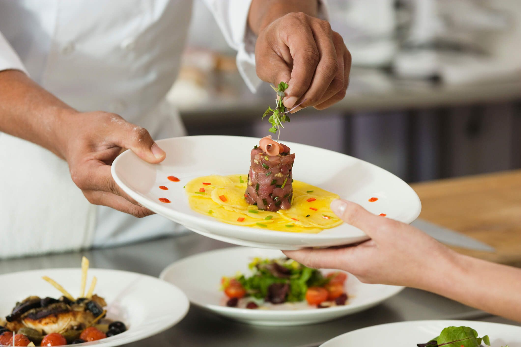Grade curricular de Gastronomia: conheça e se encante!